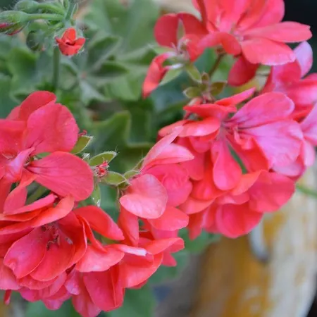 Degirmenli ベッド・アンド・ブレックファスト