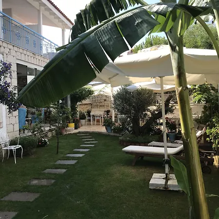 Degirmenli ベッド・アンド・ブレックファスト アラカティ